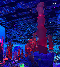 Stretch fabric 3D structures in the shape of coral and jellyfish dress up theme park