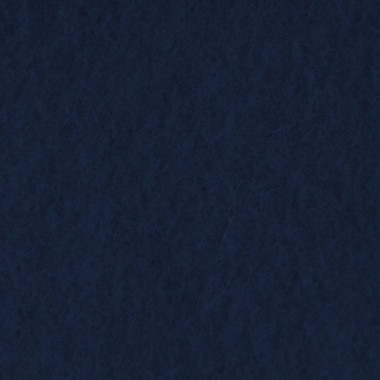 Wool Serge Panne Colour (5013)