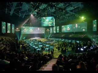 Front projection screens, diffuser fabrics and reveal systems for building reveal