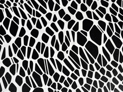SpiderNet