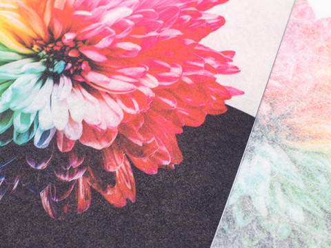 DropPaper 60 Print