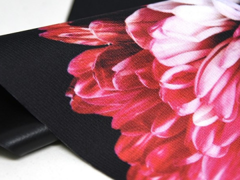 Universal 250 BB Print