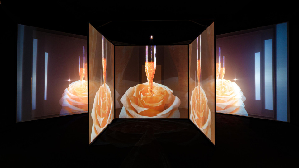 Translucent projection for beauty brand exhibition
