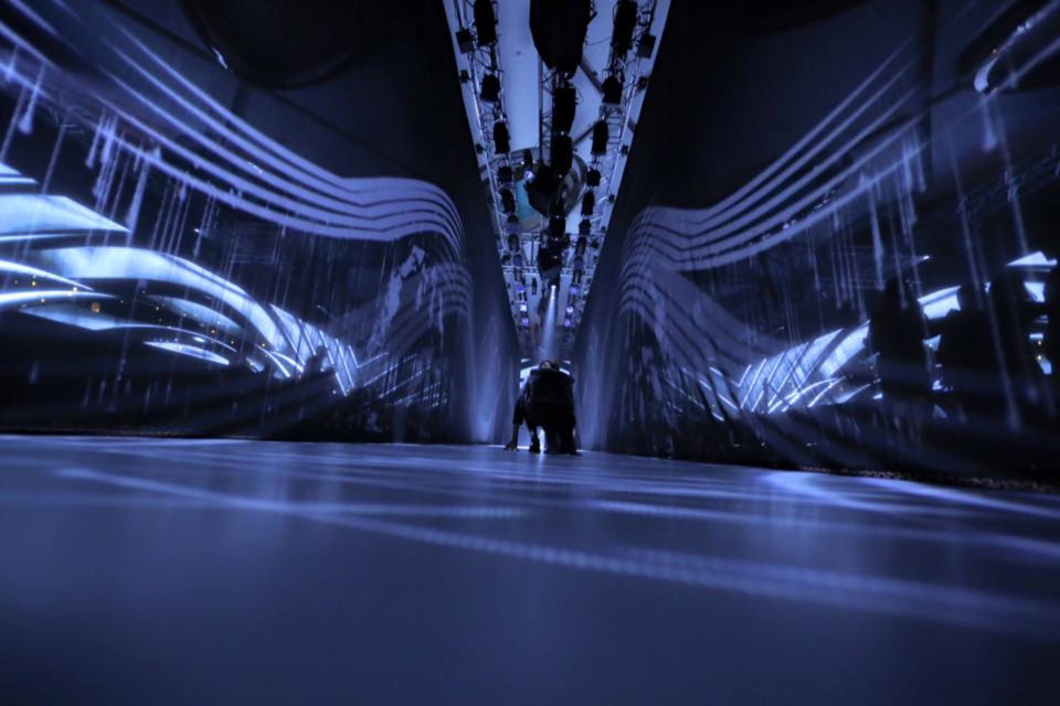 ShowTex GobelinTulle for Asus Z3nvolution launch