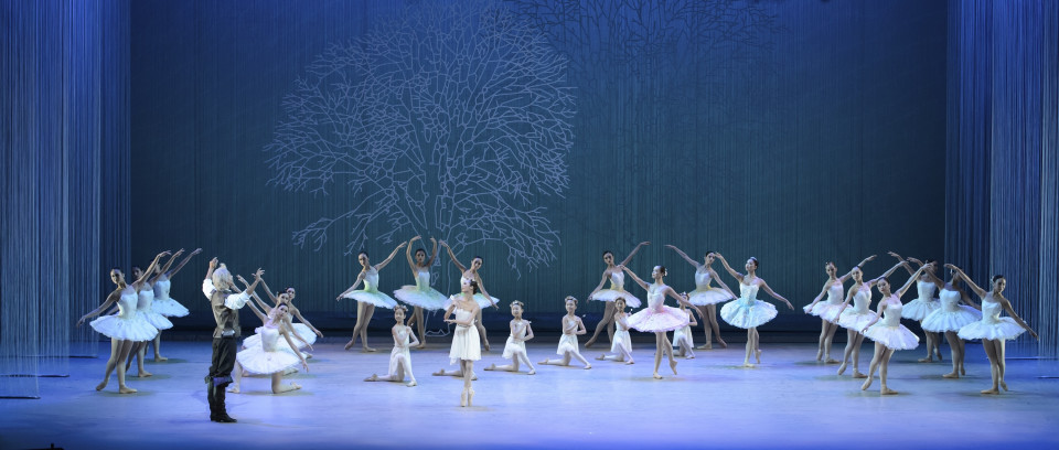 ShowTex Spaghetti Event with laser cut Molton trees for The Hong Kong Ballet
