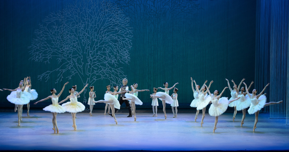 ShowTex Spaghetti Event with laser cut Molton trees for The Hong Kong Ballet