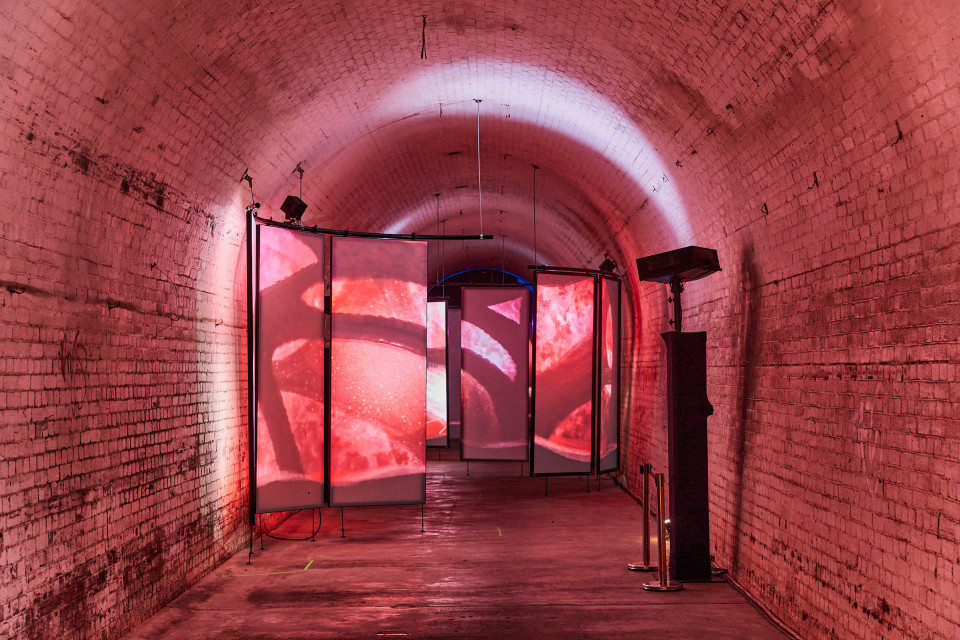 ShowTex RP Grey Plus, PolyMolton for Sleeps Hill Tunnel - Adelaide Fringe Festival