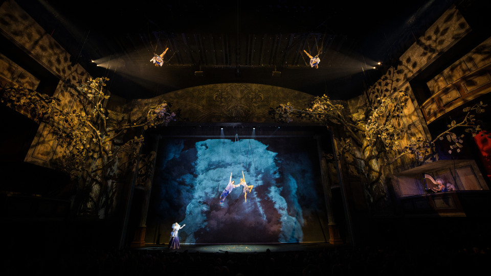 ShowTex Kabuki, HiSpeed Reveal, Voile CS, Cotton Mesh Print, Molton CS Print for Cirque du Soleil ALIZÉ